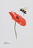 POPPY & BEE by Lawrence Chambers at Ross's Online Art Auctions