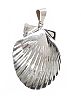 
STERLING SILVER SHELL PENDANT 
 at Ross's Online Art Auctions