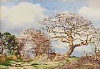 AUTUMN TREES by Frank Egginton RCA FIAL at Ross's Online Art Auctions