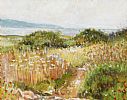 OCTOBER, BALLYMACORMICK POINT by David Lennon at Ross's Online Art Auctions