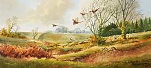 PHEASANTS, COUNTY ANTRIM by Robert B. Higgins at Ross's Online Art Auctions