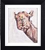 NOSEY CAMEL by Con Campbell at Ross's Online Art Auctions