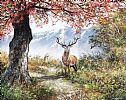 RED STAG UNDER THE OLD OAK TREE by Andy Saunders at Ross's Online Art Auctions