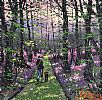 AN EARLY MORNING WALK THROUGH THE WOODS by James Downie at Ross's Online Art Auctions