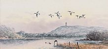 GEESE NEAR STRANGFORD by William Cunningham at Ross's Online Art Auctions
