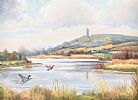 SCRABO FROM KILTONGA BIRD SANCTUARY by Muriel Merrick at Ross's Online Art Auctions