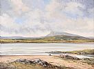 DUNFANNAGY, DONEGAL by Desmond Monroe at Ross's Online Art Auctions