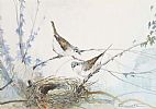 BIRD STUDY by William Cunningham at Ross's Online Art Auctions