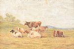 CATTLE RESTING by H. Earp Snr at Ross's Online Art Auctions