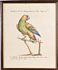 SET OF EIGHT COLOURED ENGRAVINGS at Ross's Online Art Auctions