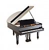 STEINWAY & SONS GRAND PIANO at Ross's Online Art Auctions