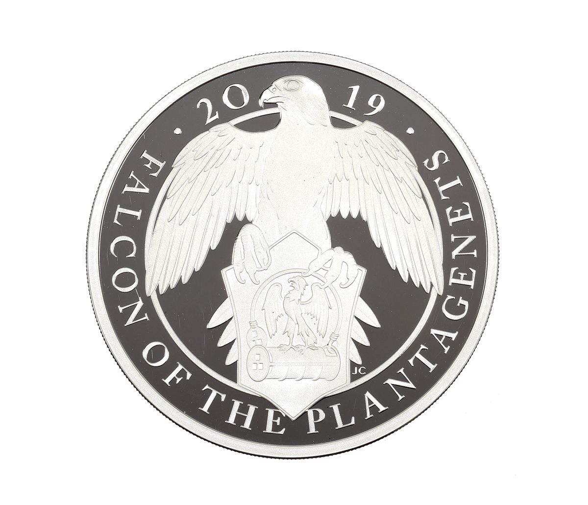 2019 TEN POUND SILVER PROOF COIN at Ross's Online Art Auctions