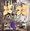YELLOW FLOWERS IN A PURPLE VASE by Colin Flack at Ross's Online Art Auctions