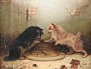 TWO TERRIERS ABOVE A TOAD IN A BASKET by Edward Armfield at Ross's Online Art Auctions