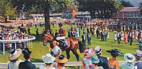 ROYAL ASCOT JUBILEE YEAR 2002 by Peter Curling at Ross's Online Art Auctions