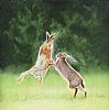 BOXING HARES by John Fairfield at Ross's Online Art Auctions