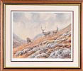 HIGHLAND STAG by Brian Rawling at Ross's Online Art Auctions
