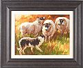 ROUNDING UP THE SHEEP by Donal McNaughton at Ross's Online Art Auctions