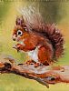 RED SQUIRREL by Lindy Anstey at Ross's Online Art Auctions