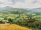CATTLE GRAZING IN THE GLENS by Donal McNaughton at Ross's Online Art Auctions