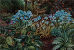 WILD FLOWERS by Elaine Callen at Ross's Online Art Auctions