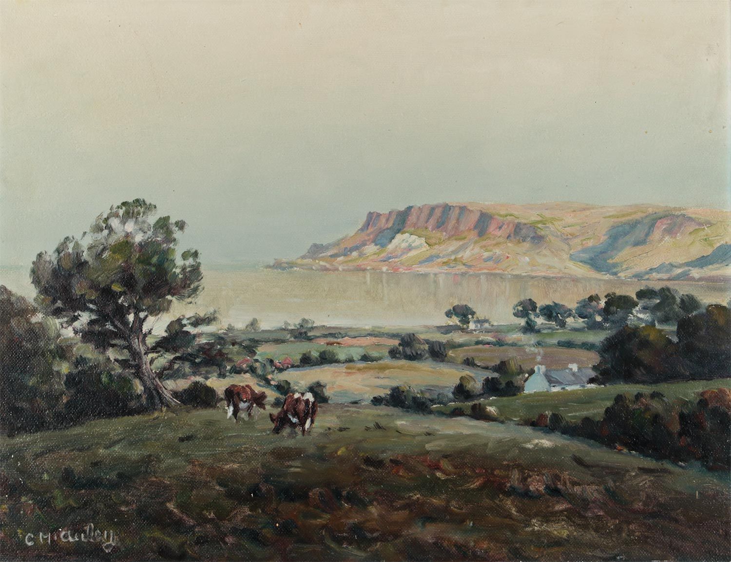 CATTLE GRAZING ABOVE CUSHENDALL BAY by Charles McAuley at Ross's Online Art Auctions