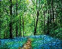 BLUEBELL WOOD PATH by Andy Saunders at Ross's Online Art Auctions