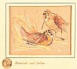 TWO WATERCOLOURS OF GAME BIRDS BY IAN GRAY at Ross's Online Art Auctions