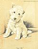 A PAIR OF VICTORIAN DOG PRINTS IN OAK FRAMES at Ross's Online Art Auctions