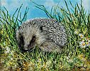HEDGEHOG by Andy Saunders at Ross's Online Art Auctions