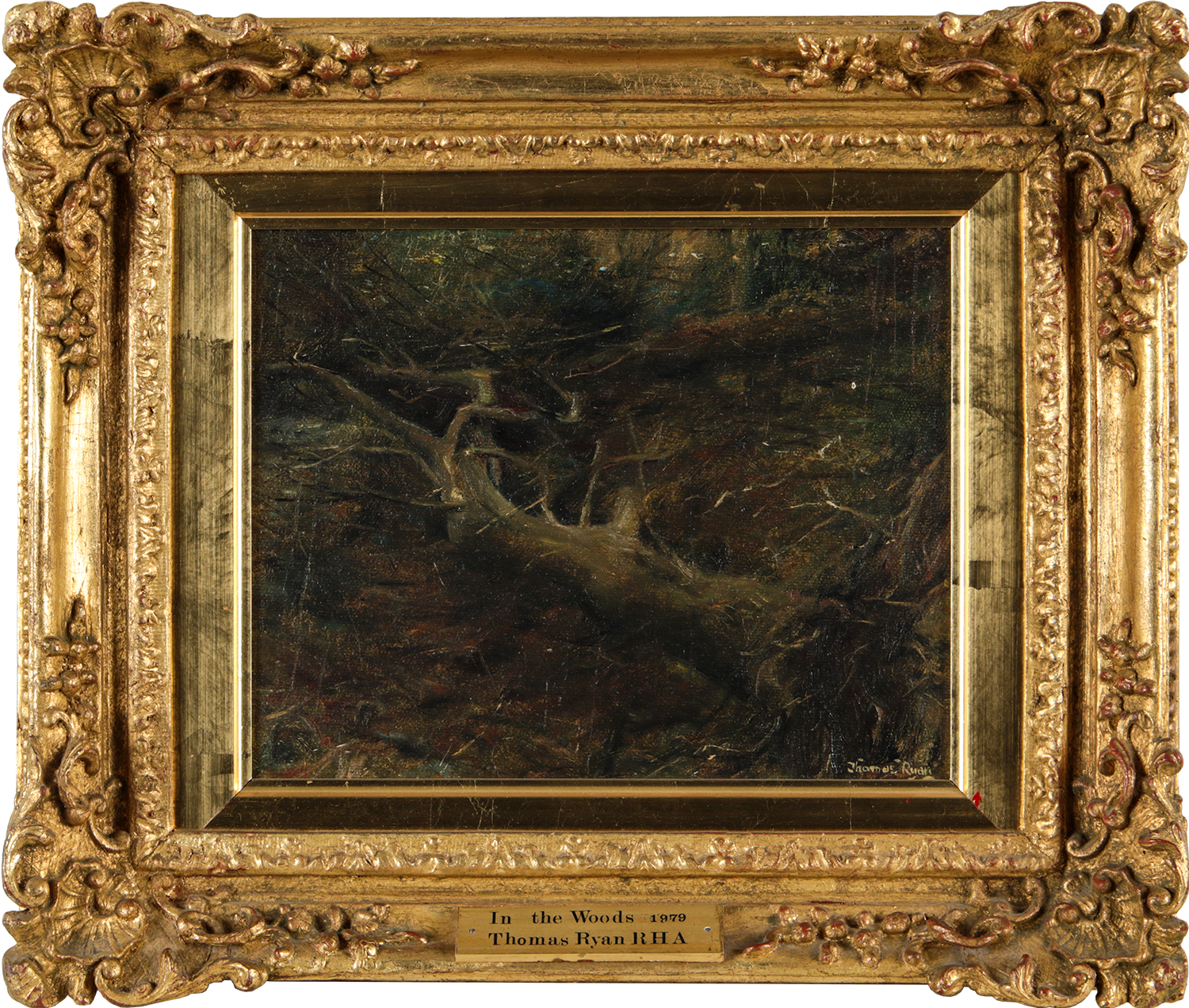 IN THE WOODS, 1979 by Thomas Ryan PPRHA at Ross's Online Art Auctions
