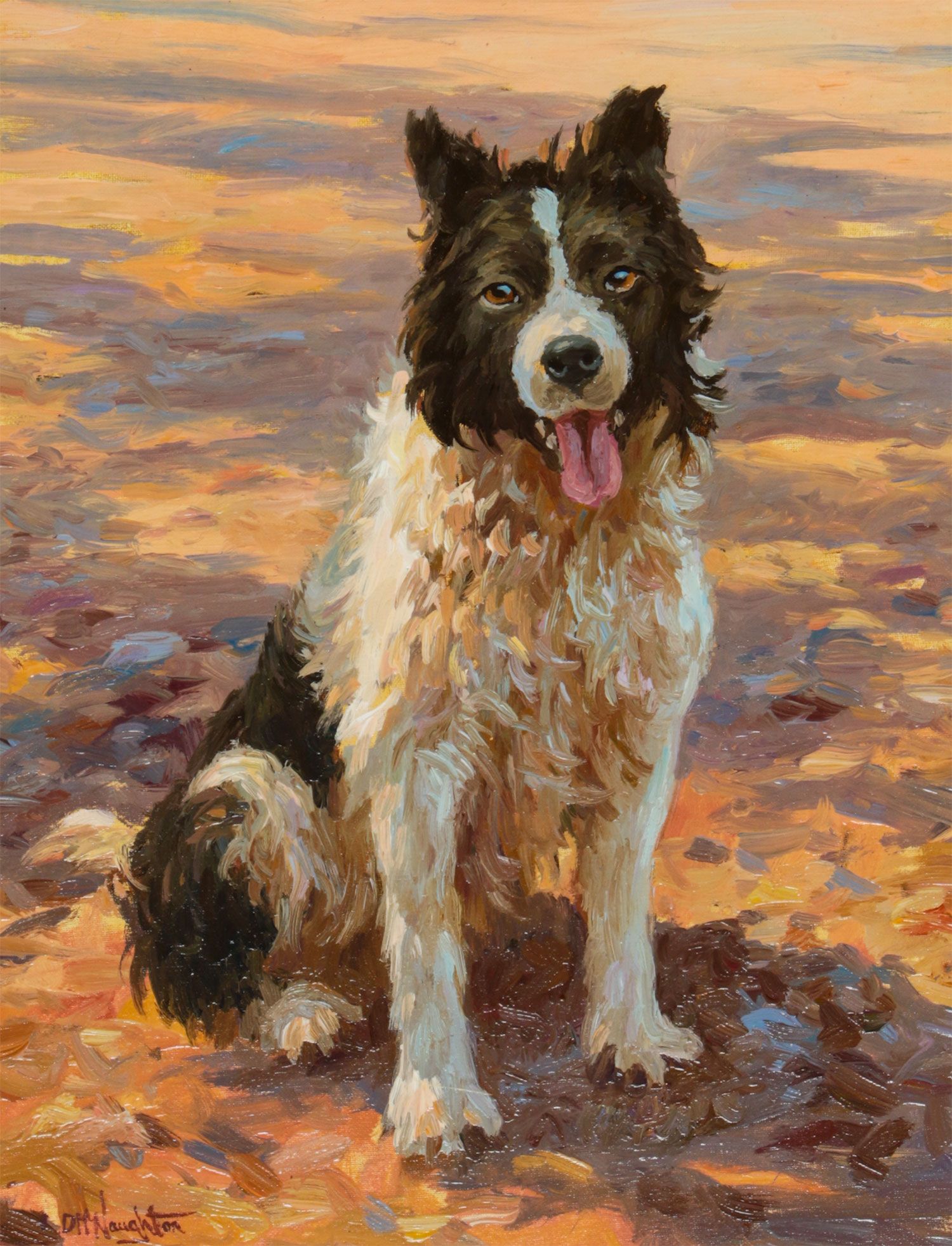 JAKE , GLENARIFF COLLIE by Donal McNaughton at Ross's Online Art Auctions