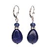 STERLING SILVER LAPIS LAZULI EARRINGS at Ross's Online Art Auctions