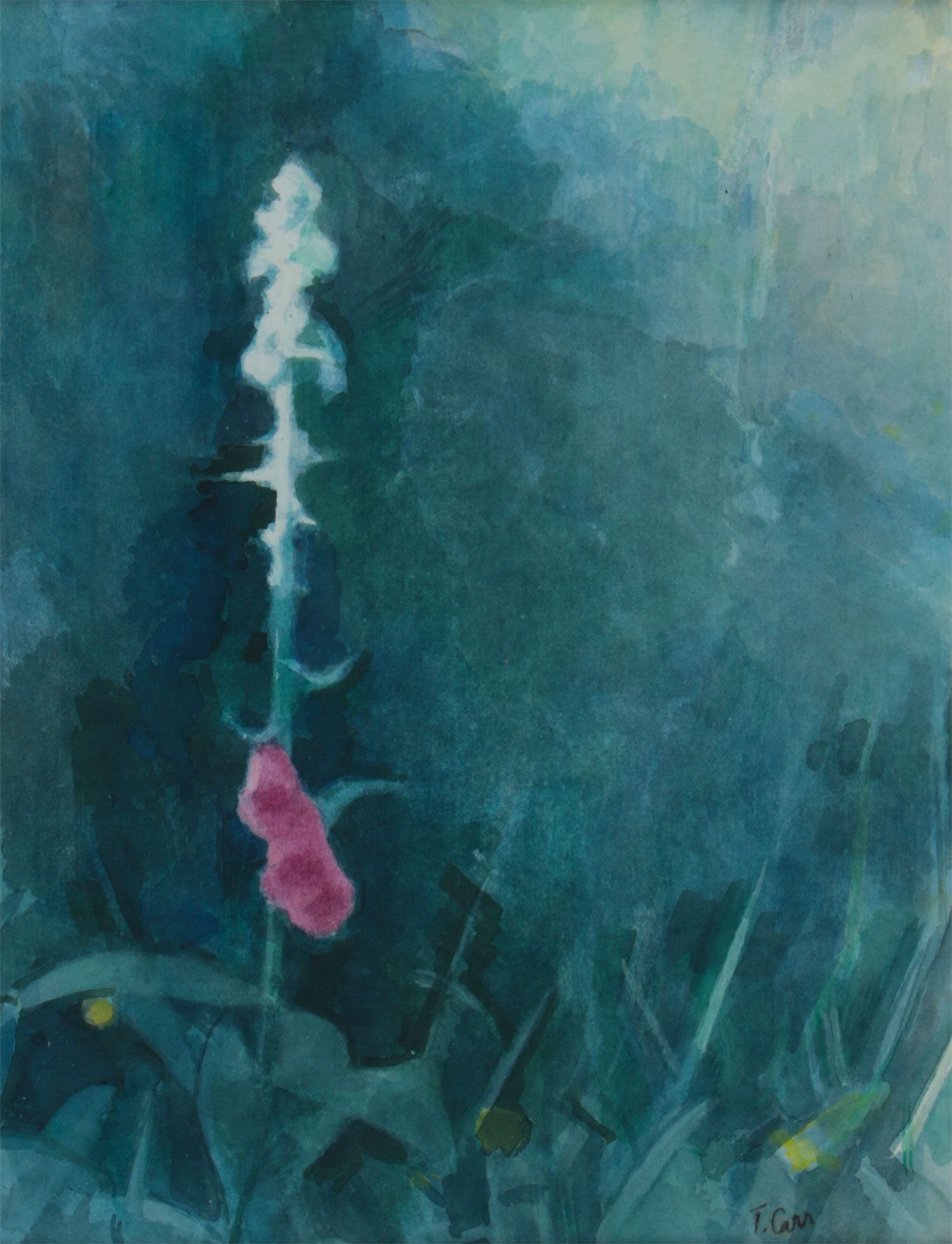 FOXGLOVES BY THE LAGAN TOWPATH by Tom Carr HRHA HRUA at Ross's Online Art Auctions