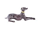 BRONZED FIGURE GREYHOUND at Ross's Online Art Auctions