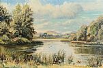 DUCKS ON THE LOUGH by Allan Ardies at Ross's Online Art Auctions