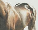 HORSE STUDY II by Carol Graham RUA at Ross's Online Art Auctions