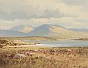GLINSK LAKE , CONNEMARA by Arthur H. Twells RUA at Ross's Online Art Auctions