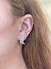 14CT WHITE GOLD DIAMOND EARRINGS at Ross's Online Art Auctions