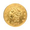 1896 AMERICAN 20 DOLLAR COIN at Ross's Online Art Auctions