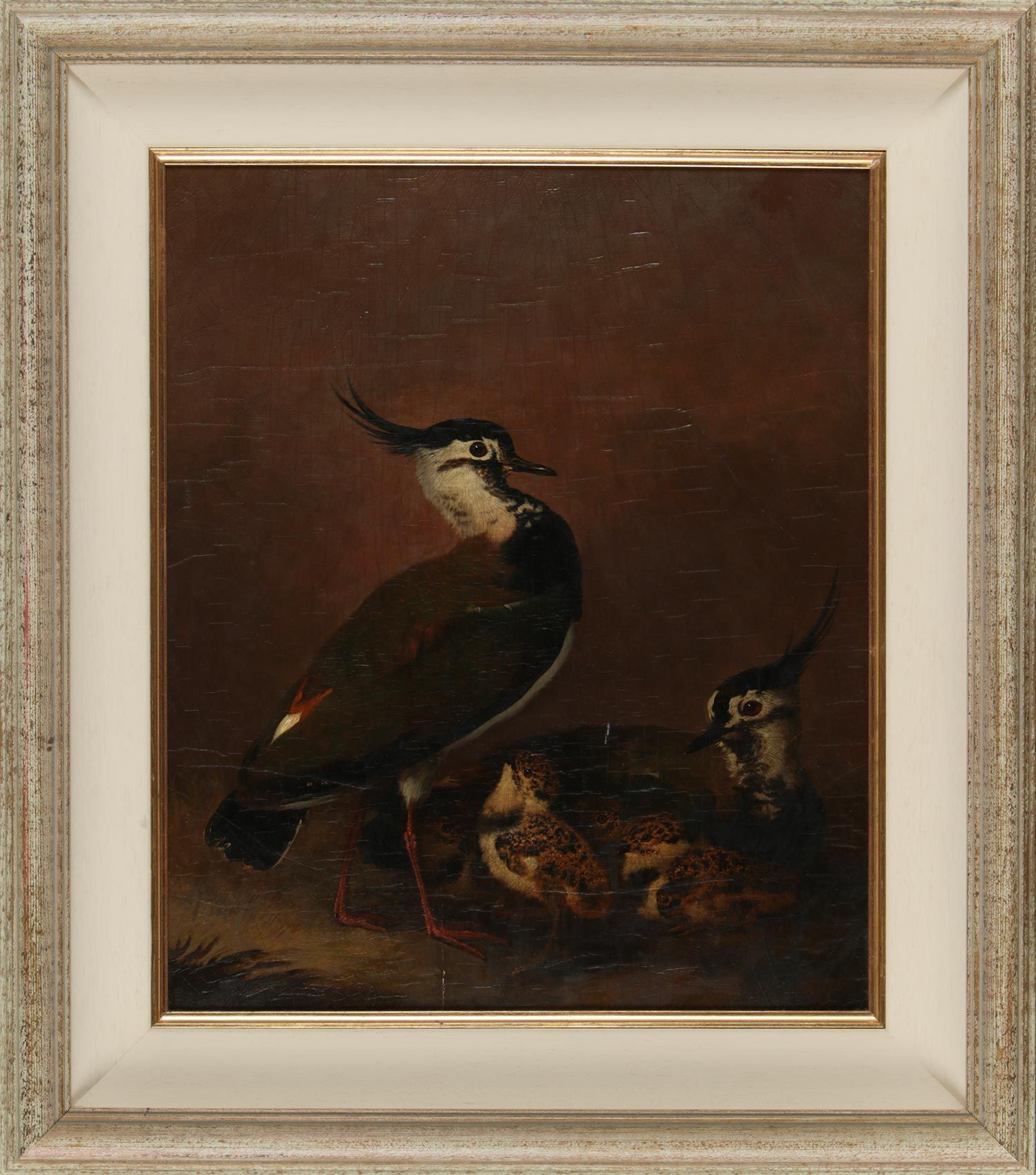NESTING BIRDS by English School at Ross's Online Art Auctions