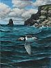 PUFFIN IN FLIGHT by Julian Friers RUA at Ross's Online Art Auctions