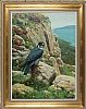 PEREGRINE FALCON by Julian Friers RUA at Ross's Online Art Auctions
