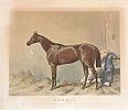 MAPLE FRAMED HORSE ENGRAVING at Ross's Online Art Auctions