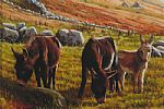DONKEYS by Keith Glasgow at Ross's Online Art Auctions