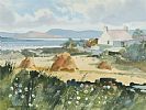SUMMER IN KERRY by Anne Jennings at Ross's Online Art Auctions