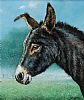 DELANEY'S DONKEY by Andy Saunders at Ross's Online Art Auctions
