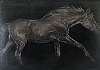 THE THOROUGHBRED by Con Campbell at Ross's Online Art Auctions