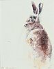 IRISH HARE IN THE SNOW by Con Campbell at Ross's Online Art Auctions