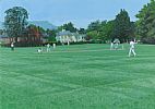 RBAI CRICKET AT OSBORNE by Brian Spencer at Ross's Online Art Auctions